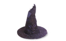 Hogwart's Sorting Hat