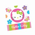 Hello Kitty Party Supplies